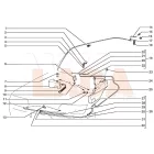 2110 Lada ablakmosótartály fül rögzítő peremes anya